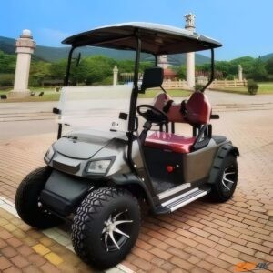 Type-A 2-Seater Electric Golf Cart Fleet | Resort & Villa | Factory Direct FCL - ORVIK
