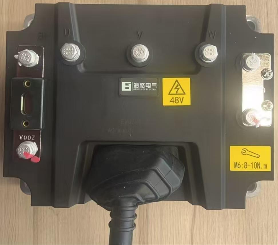 GA8 Type 8-Passenger Electric Resort Shuttle | Factory Direct Wholesale FCL - ORVIK - Kép 5